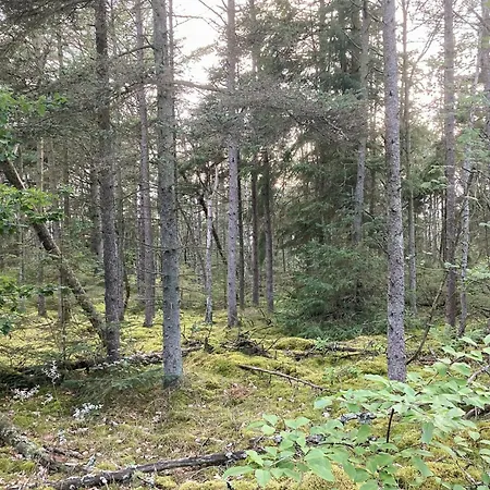 Relaxed Summer House By The North Sea Vakantiehuis