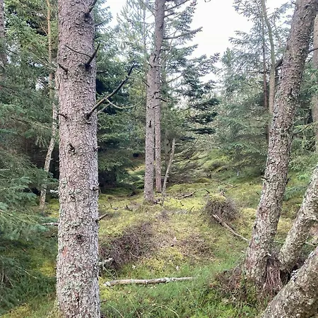 Relaxed Summer House By The North Sea