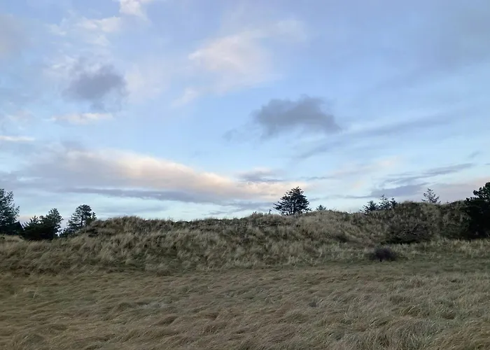 Relaxed Summer House By The North Sea