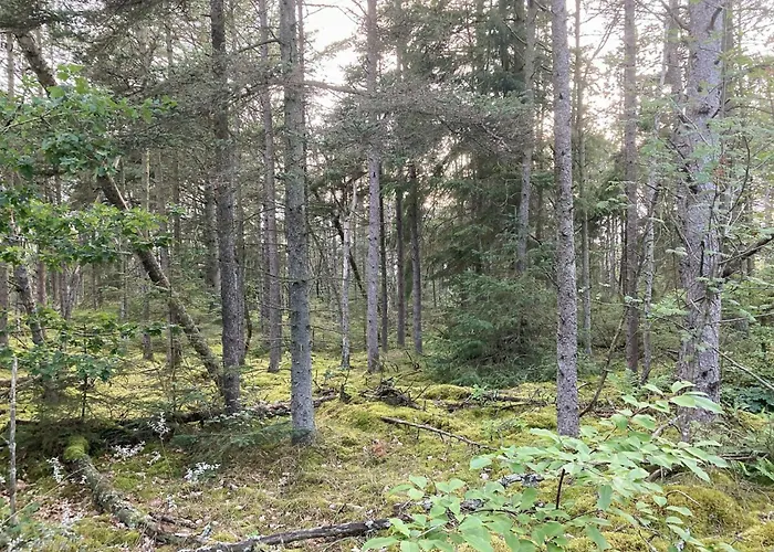 Relaxed Summer House By The North Sea Сasa de vacaciones