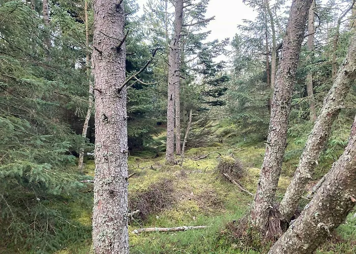 Relaxed Summer House By The North Sea